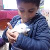 rakel030614