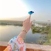 nazishchoudhary786