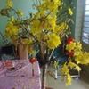 thanhtaihuynh1