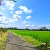 bluesky_82966