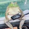 jerrydabullfrog