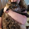 toborthecat