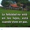 user5014559909674