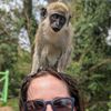 monkeypwnz