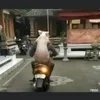27buitanphat