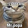 mk_m4ri_kirpich