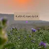 nay9438