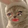 zzee_jk