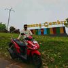 dims_adiprtm