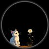 user4949964h