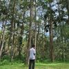 user08215090