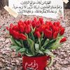 user6494105707421