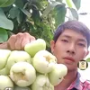 lnh.vn.h