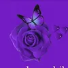 shadiasabah1