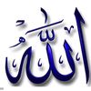 أحمد الجاموس