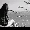 gul.sy