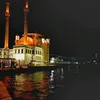altin831