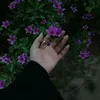 _03_0
