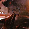 difekt2