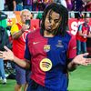 sankavic10