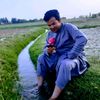 a.m.q.yarghal