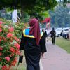 anisaa.afiipl