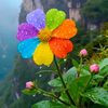 user76545201989048