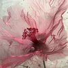 thanhho402