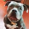 rockyblueee1