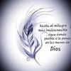 elvihernanmora