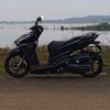 landshark_256