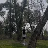 socyuoi