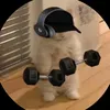 txlq8