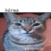 kerogmacmillerenjoyer