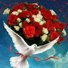 mahmoudnoureddineomar