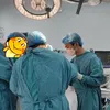 the_g_dr