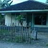tinialimah67
