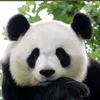 cristina.wu_05