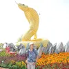 yellomilo