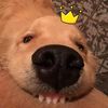 tiok_richard