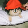 wwiquin
