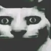 banajamm