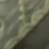 meedhem1837438raoufyy1