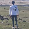 sesiz__liman2023