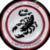 capoeirapowercontemporan