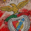 limmigrebenfiquiste