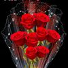 dawooddubai221