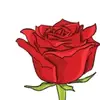 royalhassouni37