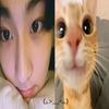 gyugalletitaa