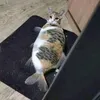 tusslowly